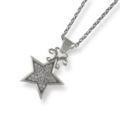 ≪Ark/アーク ≫ スターライトペンダント　