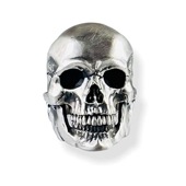 ≪BLIND RABBIT/ブラインドラビット≫Evolution I　Silver version