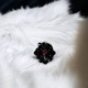 ≪DAgDART/ダグダート≫薔薇/バラ モチーフ ブラックコーティング シルバー ピアス(ルビー合成) /DP-097RBG