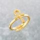 ≪Crescent Luna/クレセントルナ≫TRANSPORTER RING/トランスポーターリング GOLD