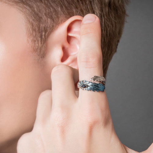 ≪Artemis Kings/アルテミスキングス≫青彩ウイングリング | すべての