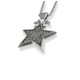 ≪Ark/アーク ≫ スターライトペンダント　