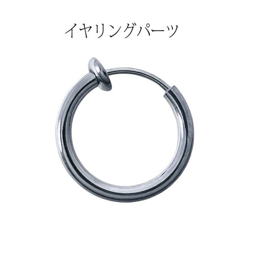 銀時Presents≪詩人 × Fatima Design コラボアクセサリー≫しらすチャームピアス/イヤリング SV製