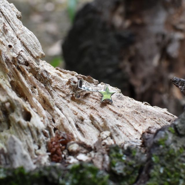 ≪cooldust≫star design pierce