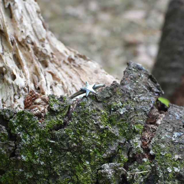 ≪cooldust≫- star design ring -