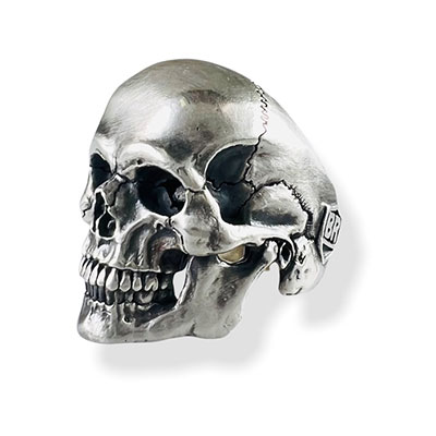 Evolution I Aging［BLIND RABBIT］23号 Evolution I Aging［BLIND RABBIT］23号 ≪BLIND RABBIT