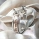 ≪Lord Camelot/ロードキャメロット≫ピアス