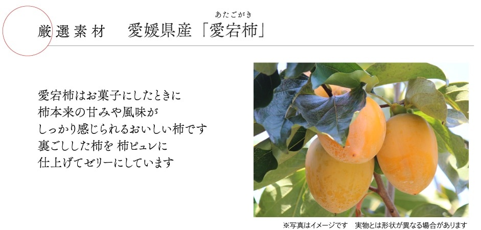 値下げしました Apithera 柿樹精 12本セット 楽天市場】【LINE登録で300円クーポン】資生堂