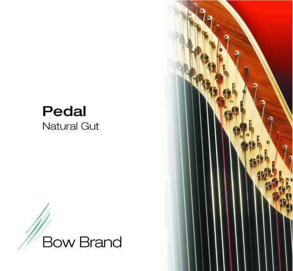 Bow BrandNo.22PEDALNATURALGUTE4th