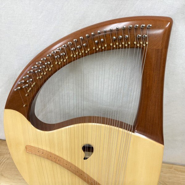 【美品】ハートモデル 22弦 ライアー ディバイザーOne Day Guitar Show2022】岡山店にも話題のギター