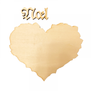 425-01639 R31Noel