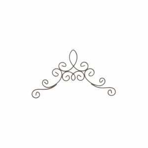 417-2504 쥬󥹥磻䡼ե졼ྮKۡڥȡڥ 