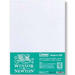 431-7074 WN ���åȥޥ��̻� F4 ���ܡ�243��334mm30��ˡ�C��[���󤻾���]