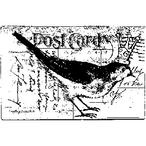 [���֡����佪λ]450-0104 �С��ɥݥ���