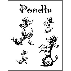 [֡佪λ]450-0066 Ųùҥǥ󥯥ꥢססɥ