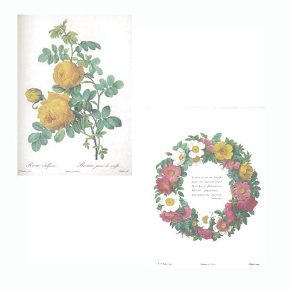 ルドゥーテ 大型アートパネル ルドゥーテ 大型アートパネル ルドゥーテ