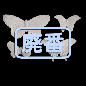 [֡佪λ]432-143 쥸 Хե饤