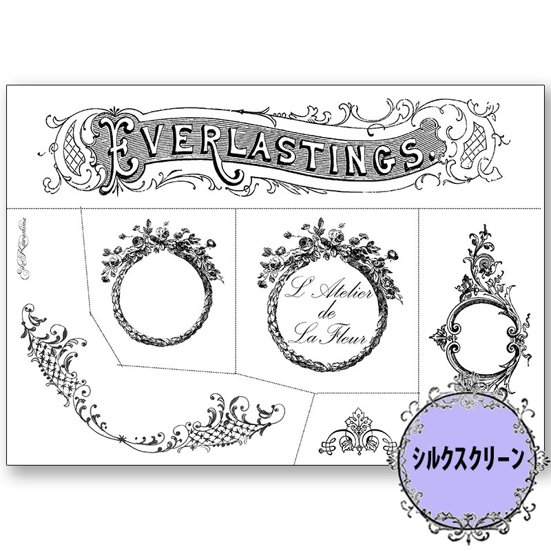 417-1502  EVERLASTINGS�ʱʱ�� ����ӻ� ���륯�����꡼����á�