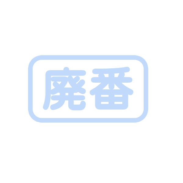 [���֡����佪λ]453-02 ����ꥫ���� �����å� �ʥ�����
