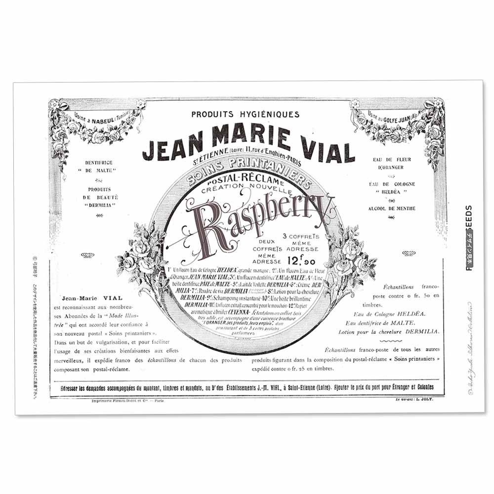 417-7221 ե٥ Raspberry  륯꡼ á