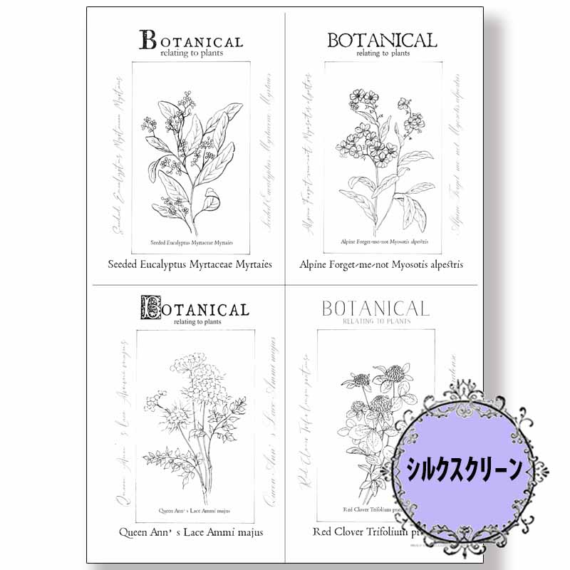 417-7097 �ܥ��˥��� ������ҥ��륯�����꡼����á�<br>�ڥȡ���ڥ���� ������