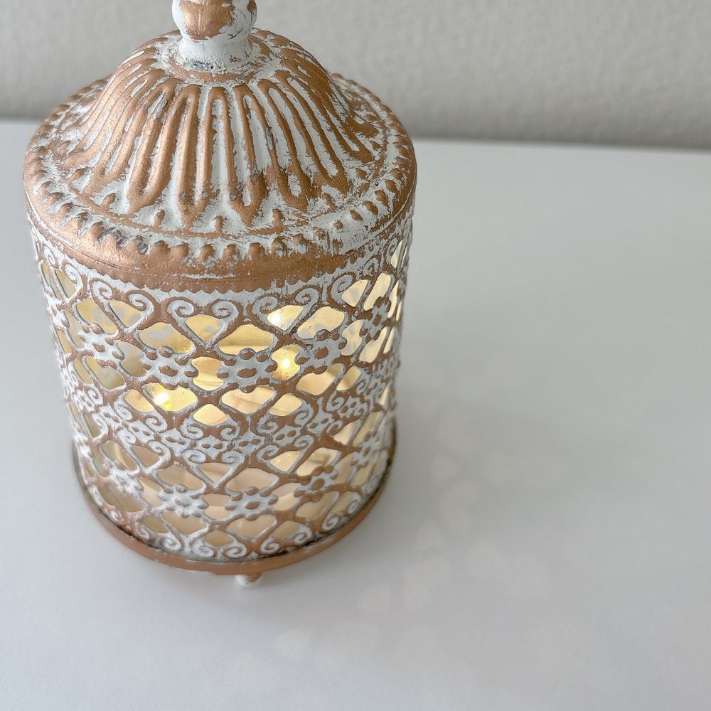 417-2713 ��å����󥿥��K��<br>�ڥȡ���ڥ���� ������