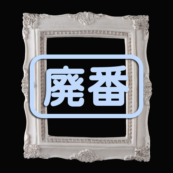 [���֡����佪λ]432-125 �쥸�� �˥塼���ƥå� �ե졼���