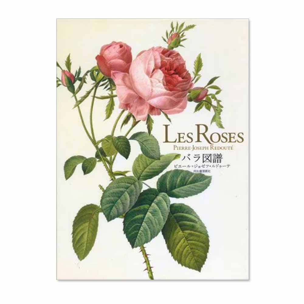 449-2035 ��Les Roses �Х����(�Х饺��)�� �����ԥ�����=���祼�ա���ɥ����ơ��á�
