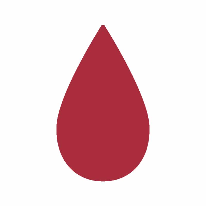 149-10051 �ꥭ�ƥå������եȥǥ����ץ֥�ꥢ��ȥ�å�20ml�ڢ���