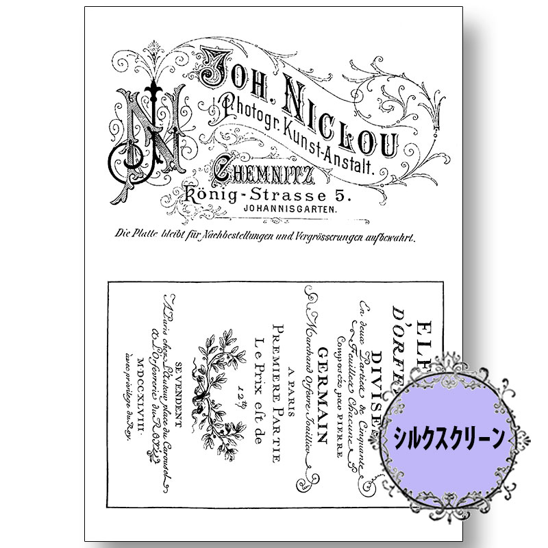 [3����ɤ�20��OFF]417-7069 ������ɥ����� ���ͻ��˻ҥ��륯�����꡼����á�