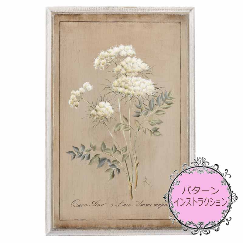 411-00289 ҥѥѥåȡBOTANICAL 󥢥󥺥졼סá