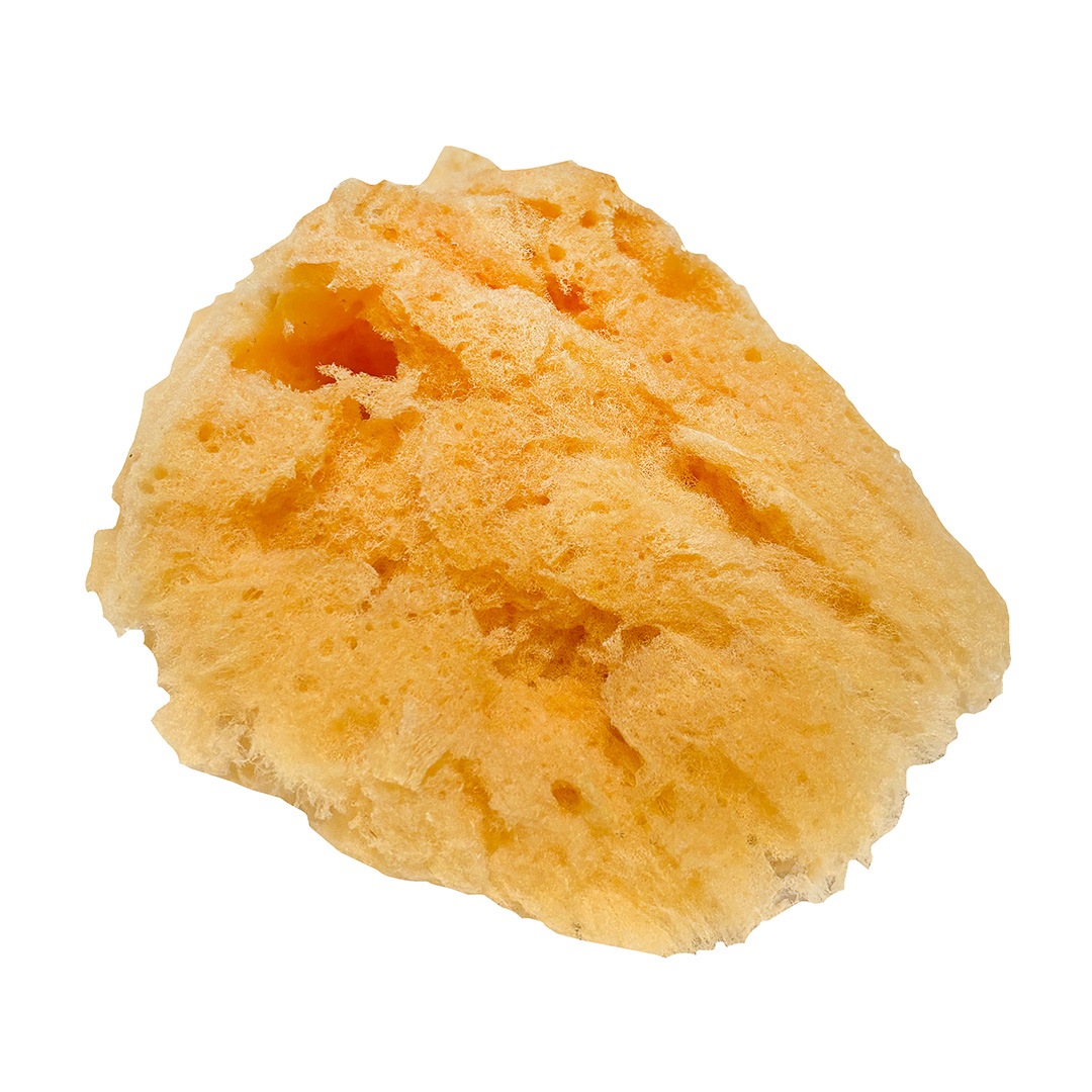 423-1037 ����(��)