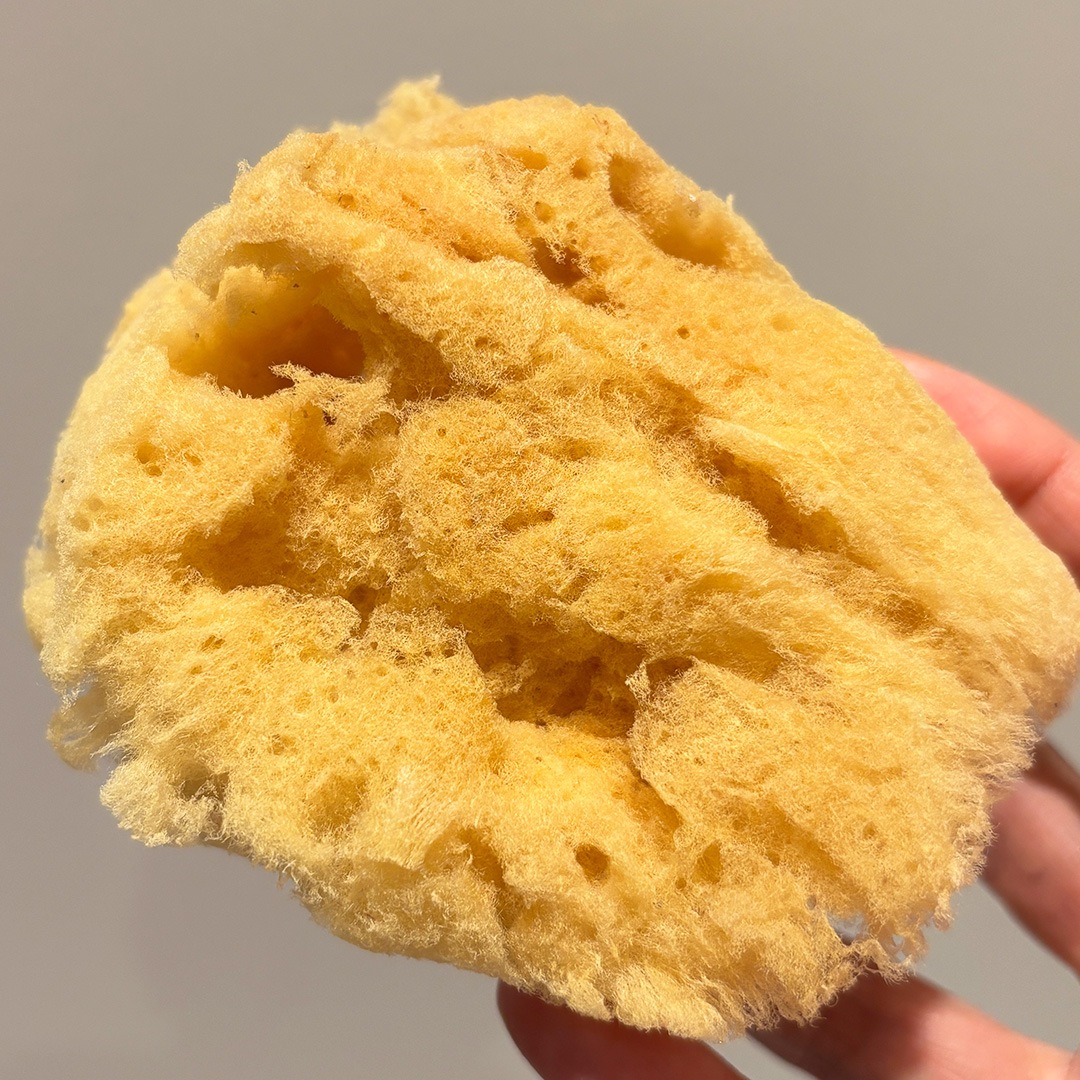 423-1037 ����(��)