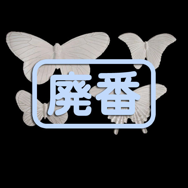 [���֡����佪λ]432-143 �쥸�� �Х��ե饤