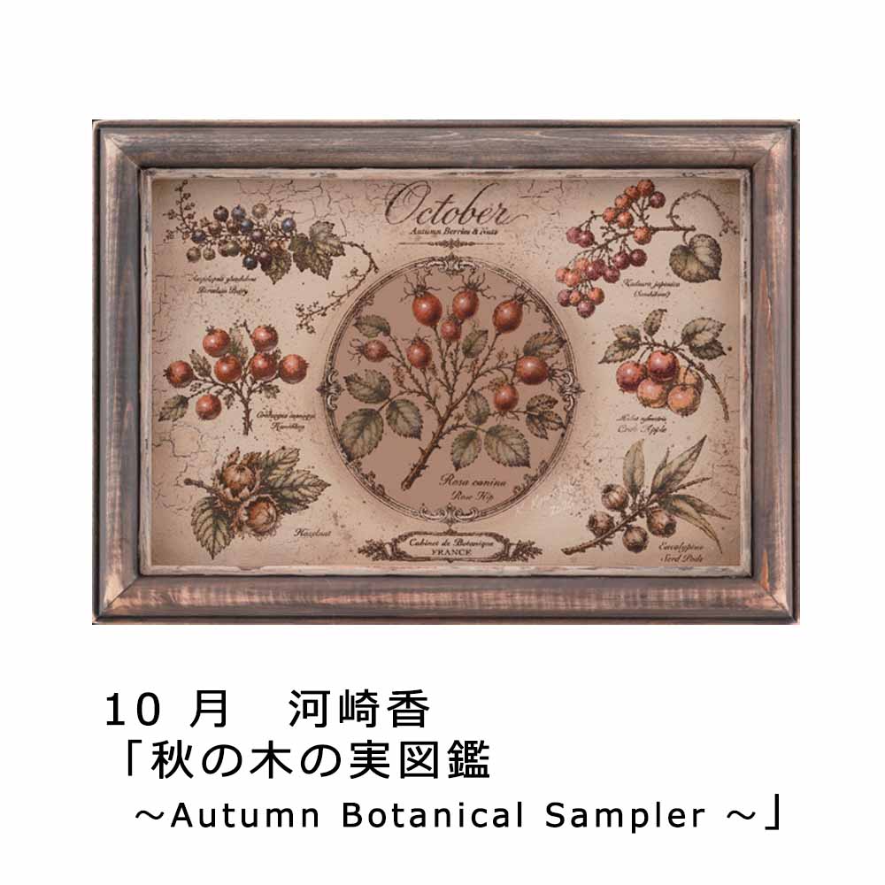 [9��10�����䳫��]405-27001 �ڥ���ȥ��쥯����󥫥����� 2027��K��