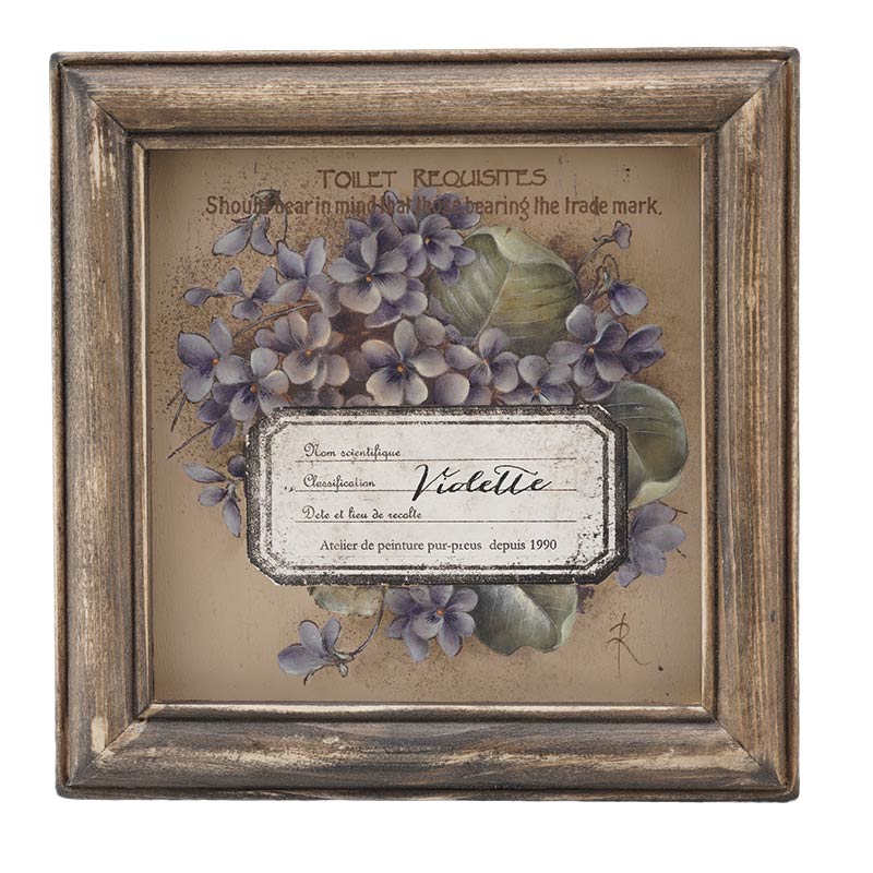 411-00255 ҥѥѥåȎߤ쎣()á