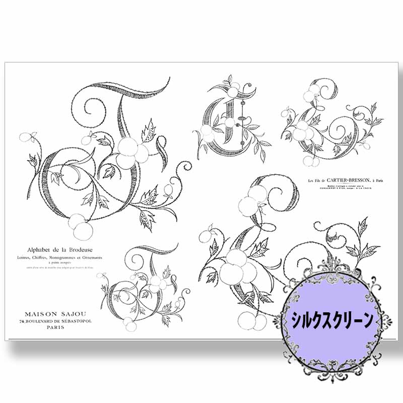 417-12272 Coral blusher(���꿧���˹�) A5������������ҥ��륯�����꡼����á�