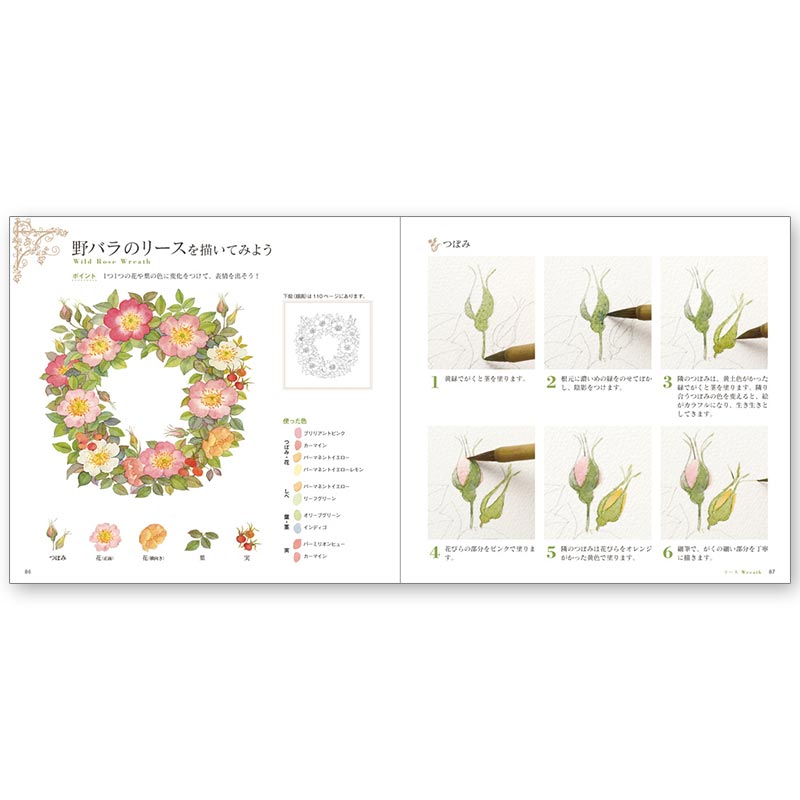 廃番・販売終了]449-2001 ｢はじめての水彩画12か月の花スケッチ｣田代