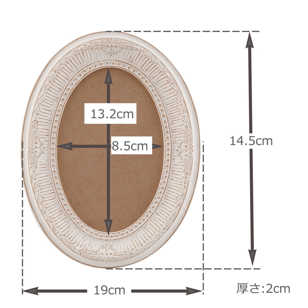 433-423 ݥ쥸ե졼 ե꡼