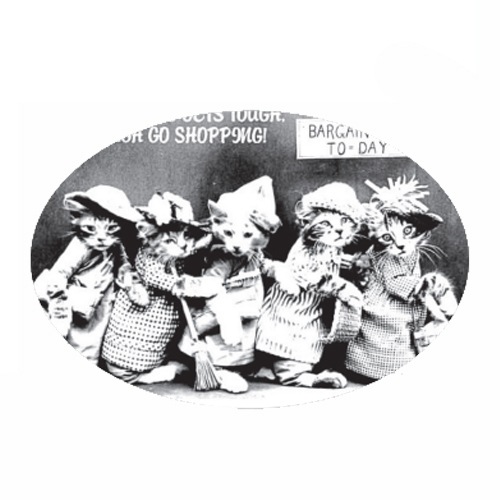 417-7134 Cat's ＆ Knitting 河崎香シルクスクリーン 【特】<br