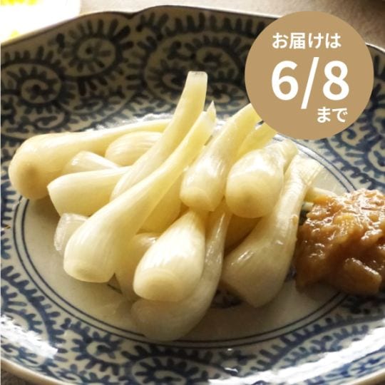 【お届けは6/8まで】浅漬楽京（らっきょう）
