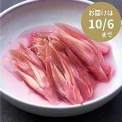 新茗荷の梅酢漬