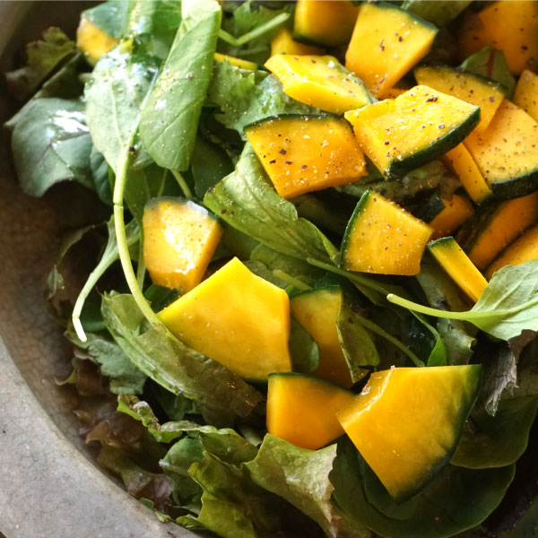 【送料込み】秋の彩りセット(5点入)<E-9>