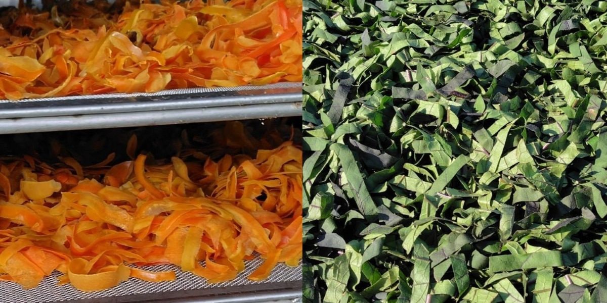 数量限定】葉付き新漬たくあん「昔気質」（1月31日までのお届け）|銀座