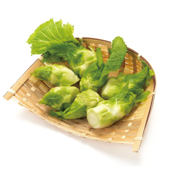 春の高菜　祝蕾（しゅくらい）