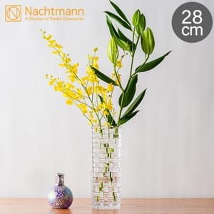 �ʥϥȥޥ� Nachtmann ���󥷥󥰥������� �ܥ��Υ� �١��� 28cm ���� 80727 Dancing Stars Bossa Nova Vase �ե��١��� ����ƥꥢ �ץ쥼��� ������ ��