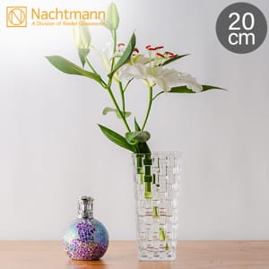 Nachtmann ナハトマン Dancing Stars Bossa Nova ダンシング