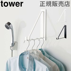 ⴳ ʪϥ󥬡 ޥͥåȥХ롼ʪϥ󥬡 tower  ¶ ޥͥå Ἴ Ἴʪ ʪ եå 