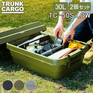 �ȥ�󥯥����� RISU ��Ǽ�ܥå��� 2�ĥ��å� ��Ǽ������ �����å��󥰥����� ���������� �����ȥɥ� TC-50S LOW ����ƥʥܥå��� ������ �ꥹ ��