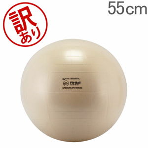 訳あり】 バランスボール ギムニク Gymnic 55cm フィットボール 55